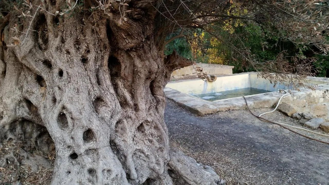 La Villa Di Minerva Agrigento Italië