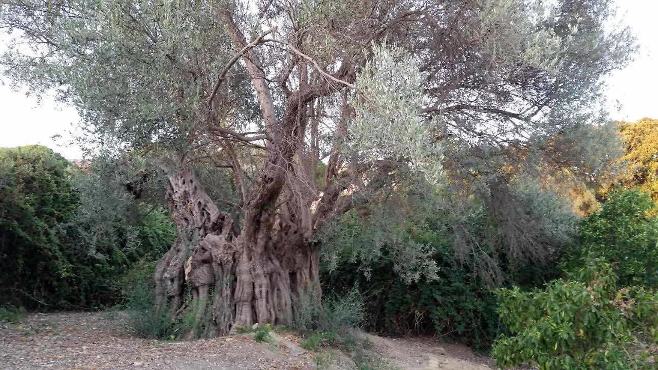 La Villa Di Minerva Agrigento