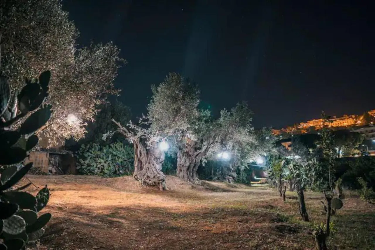 La Villa Di Minerva Agrigento 0*,